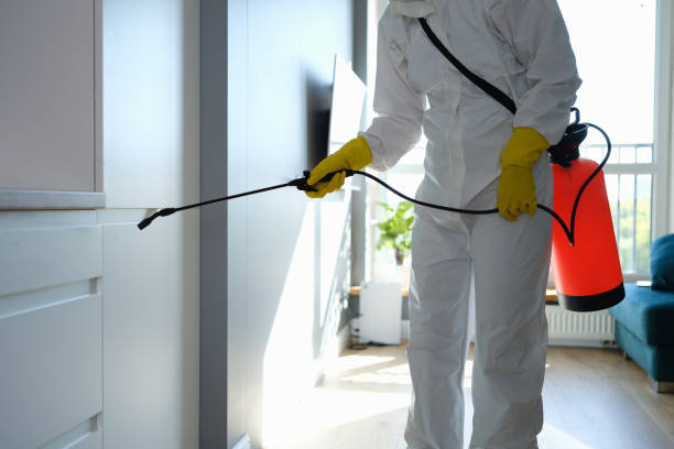 Best DIY Mold Remediation Support Services in Four Cners, OR